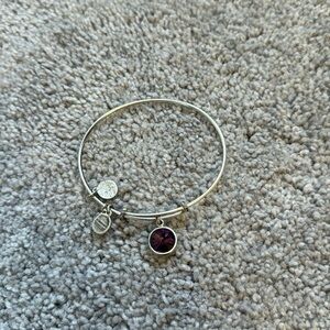 Alex and Ani Bracelet - February Birthstone Charm
Bangle, Amethyst